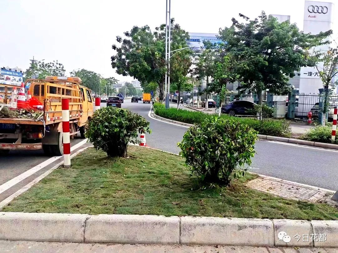 1綠化種植后.jpg 圖片