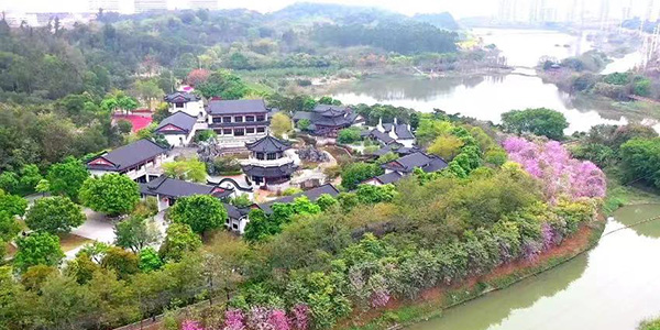 4條花都精品路線    解鎖灣區(qū)北新玩法