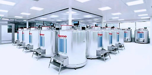 廣州首個政府區域細胞庫落戶花都