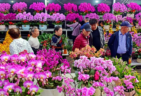 轉(zhuǎn)存圖片