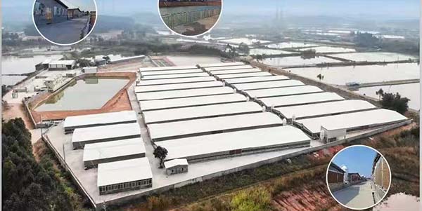 廣州市領航食品有限公司位列“農業產業化國家重點龍頭企業”名單  花都實現“零的突破”