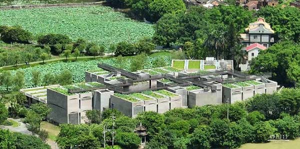 聚焦“小切口” 善打“組合拳”   花都強村富民顯成效