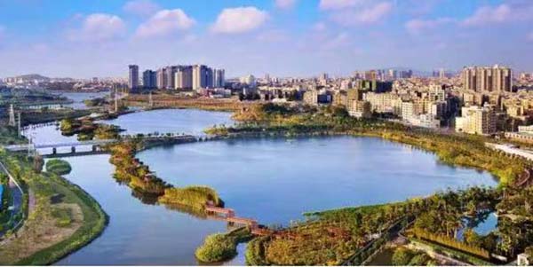 向綠而行，協(xié)同增效   花都繪就減污降碳“生態(tài)長卷”