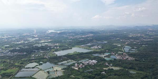 批復！花都將添一文旅新地標