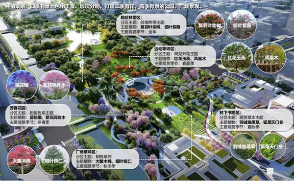 花都中軸線公園“上新”